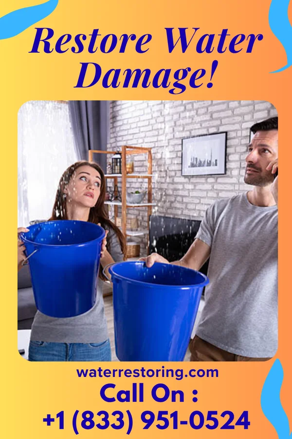 water restoration Sterling Sewage Cleanup LLC Cheswick
