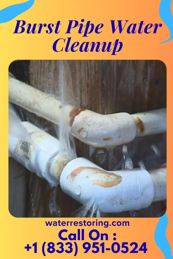 Burst Pipe Water Cleanup in Cheswick, PA