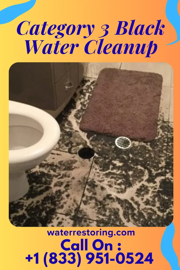 Category 3 Black Water Cleanup in Cheswick, PA