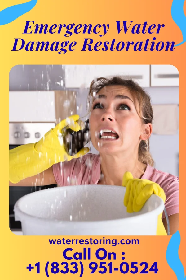 Emergency Water Damage Restoration in Cheswick, PA