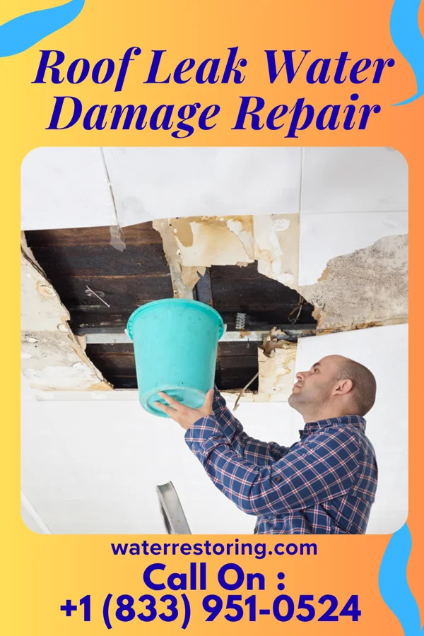 Roof Leak Water Damage Repair in Cheswick, PA